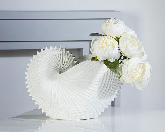 Jumbo Nautilus Shell Holder