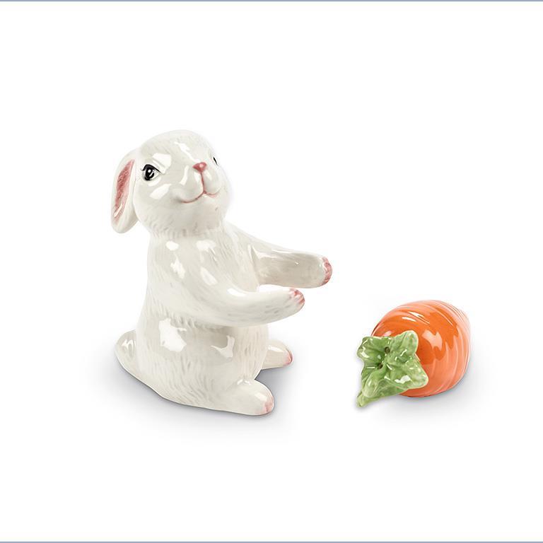 Ensemble S&P lapin et carotte