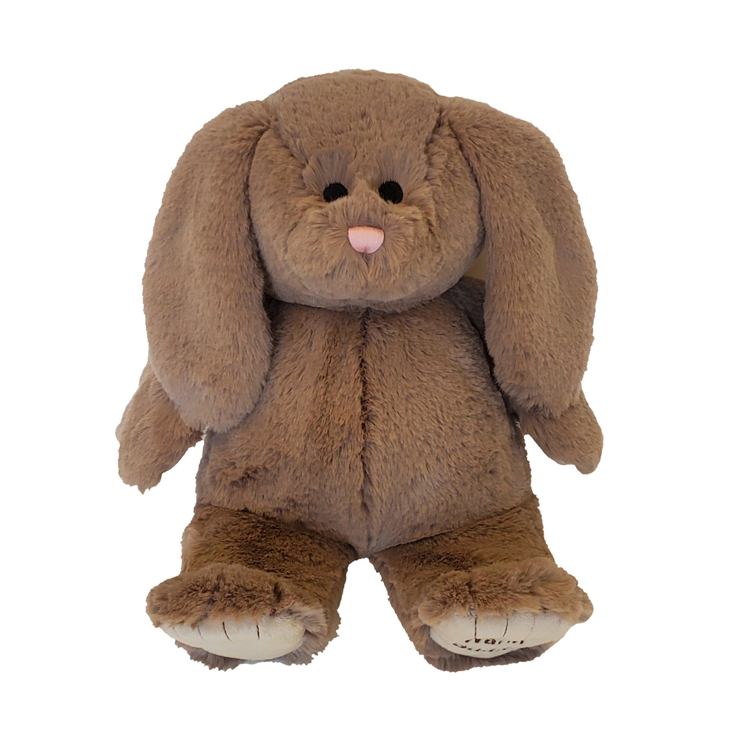 Cuddle Buddy Bunny