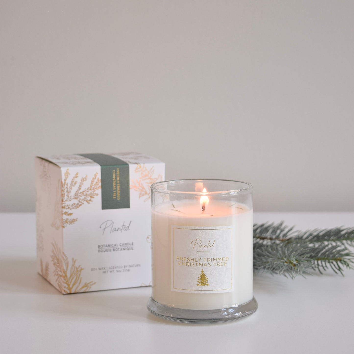 Ambre et Vanille - 8oz