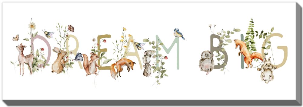 Dream Big Artwork