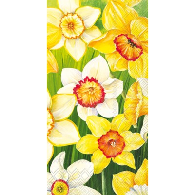 Serviettes Invité ou Buffet Printemps/Été