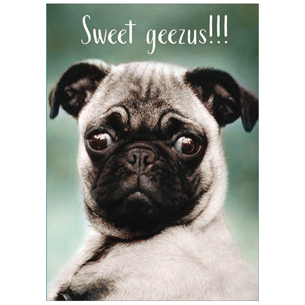 Carte d'anniversaire Pugsweet