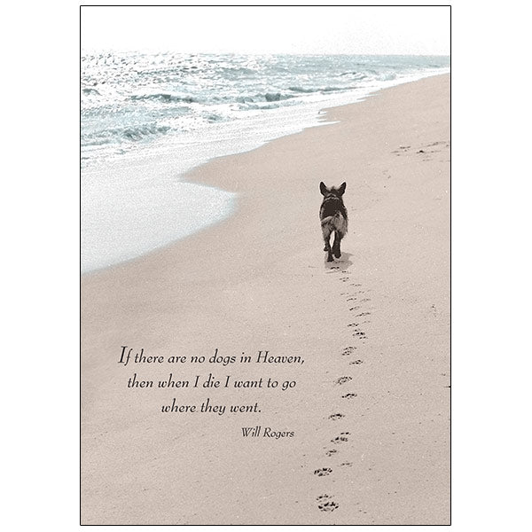 Chien sur la plage - Carte de sympathie