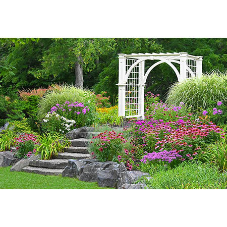 Geof Burbidge Photography Cards - Spring/Summer