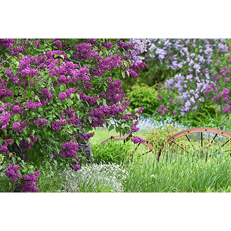 Geof Burbidge Photography Cards - Spring/Summer