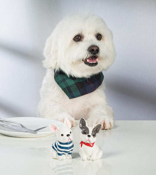 French Bulldog S&P Set