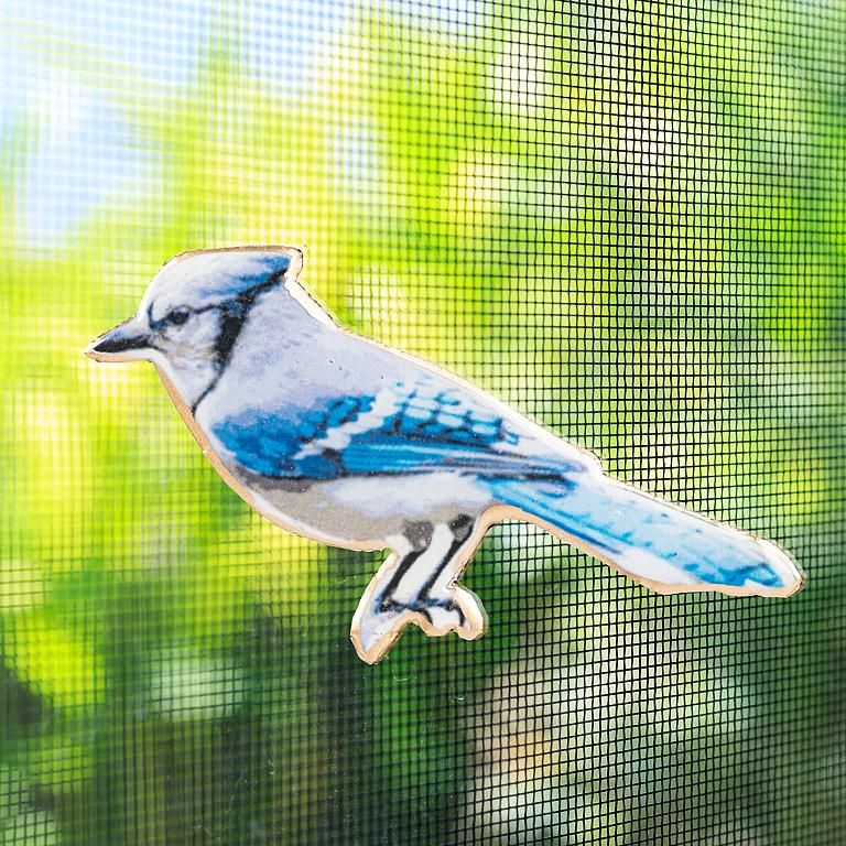 Two-Sided Animal Window Screen Magnet