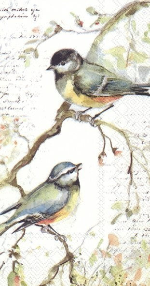 Serviettes Invité ou Buffet Printemps/Été