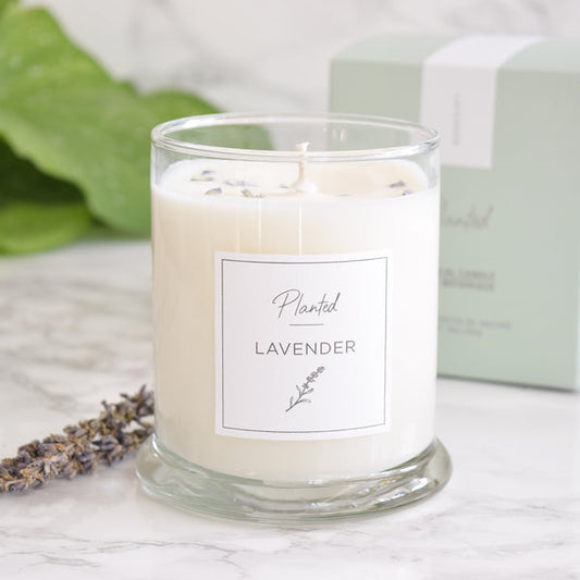 Calming Lavender 6oz