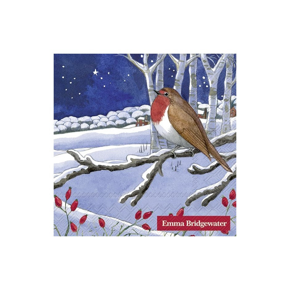 Winter & Holiday Cocktail Napkins