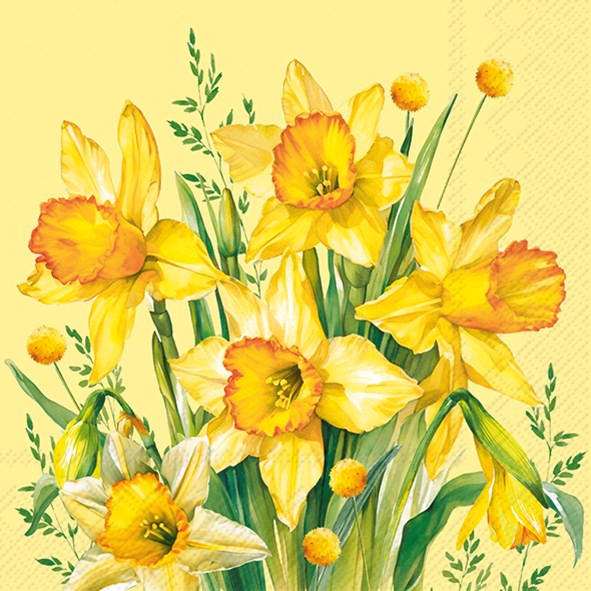 Serviettes de table printemps/été