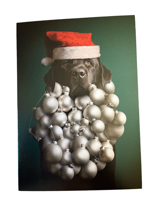 Dog Santa Beard Holiday Card