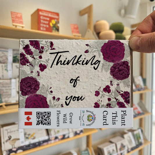 Seeded Paper All Occasion Card - Thinking of You
