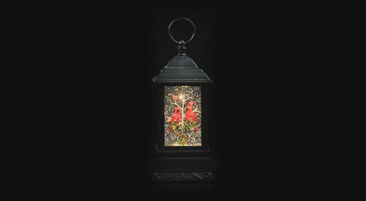 LED Black Globe with Cardinals
