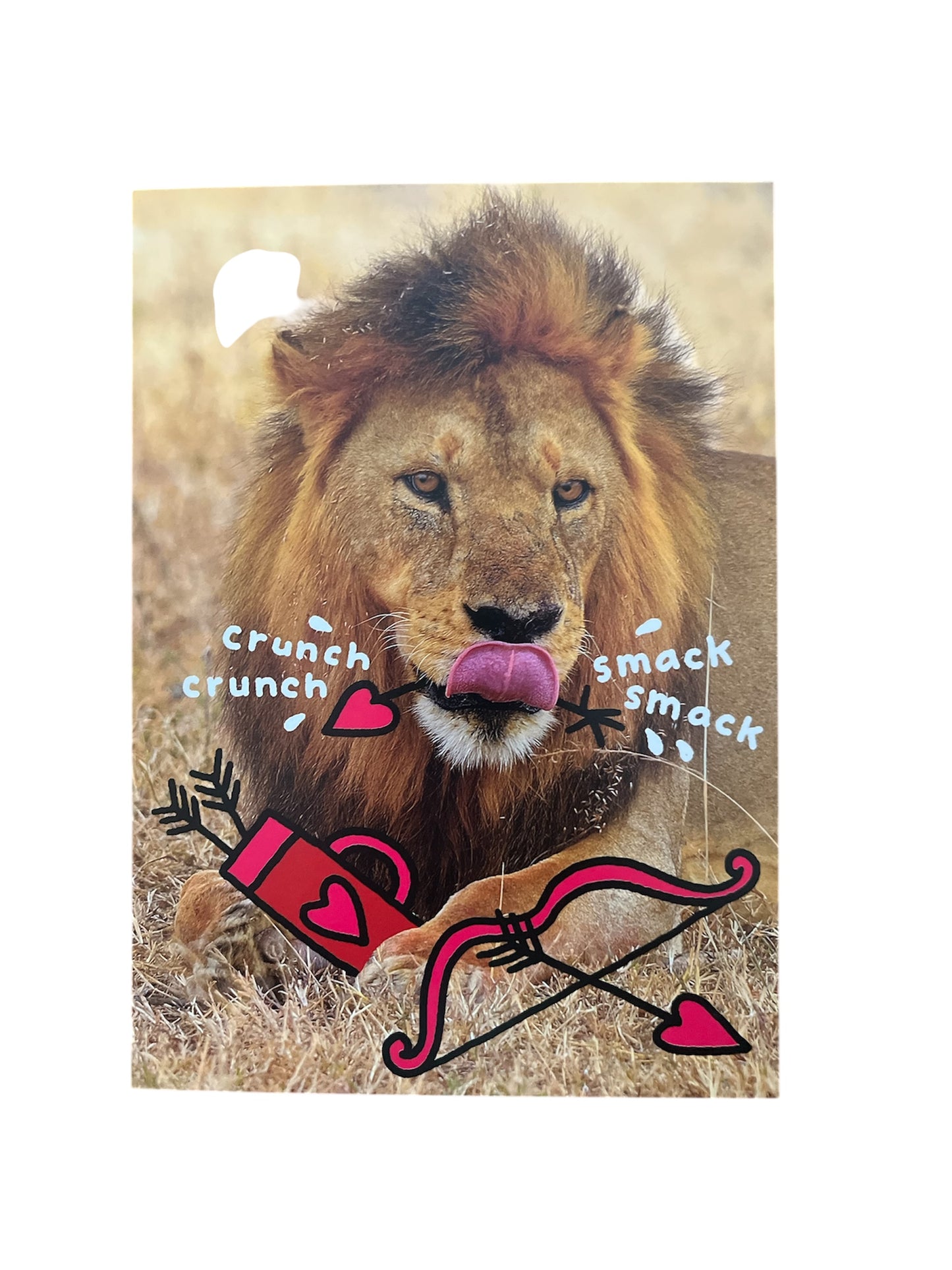 Lion:  Where's Cupid? Valentine's Greeting Card