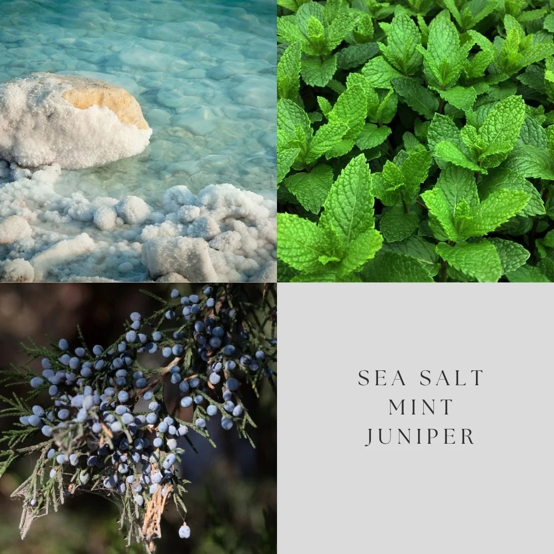 Sea Salt & Juniper Soy Candle