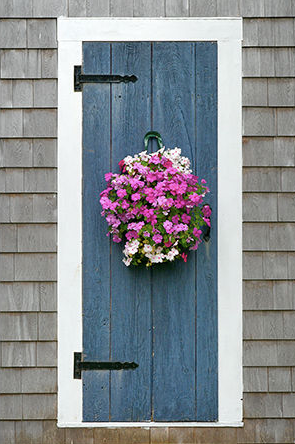 Geof Burbidge Photography Cards - Spring/Summer