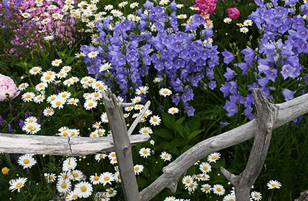 Geof Burbidge Photography Cards - Spring/Summer