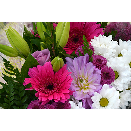 Geof Burbidge Photography Cards - Spring/Summer