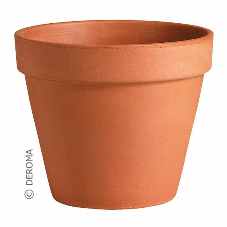 Terracotta Pot