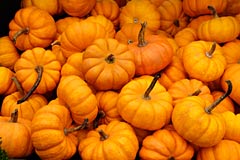 Geof Burbidge Autumn Greeting Cards