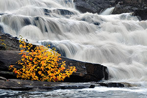 Geof Burbidge Autumn Greeting Cards