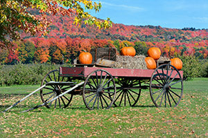 Geof Burbidge Autumn Greeting Cards