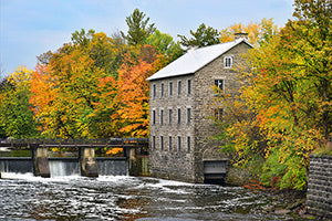 Geof Burbidge Autumn Greeting Cards