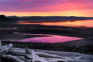 Geof Burbidge Autumn Greeting Cards