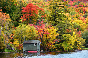 Geof Burbidge Autumn Greeting Cards