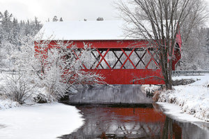 Geof Burbidge Winter Greeting Cards