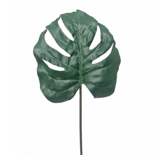 Monstera Leaf Small