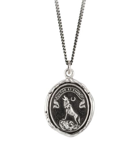 Struggle and Emerge Necklace