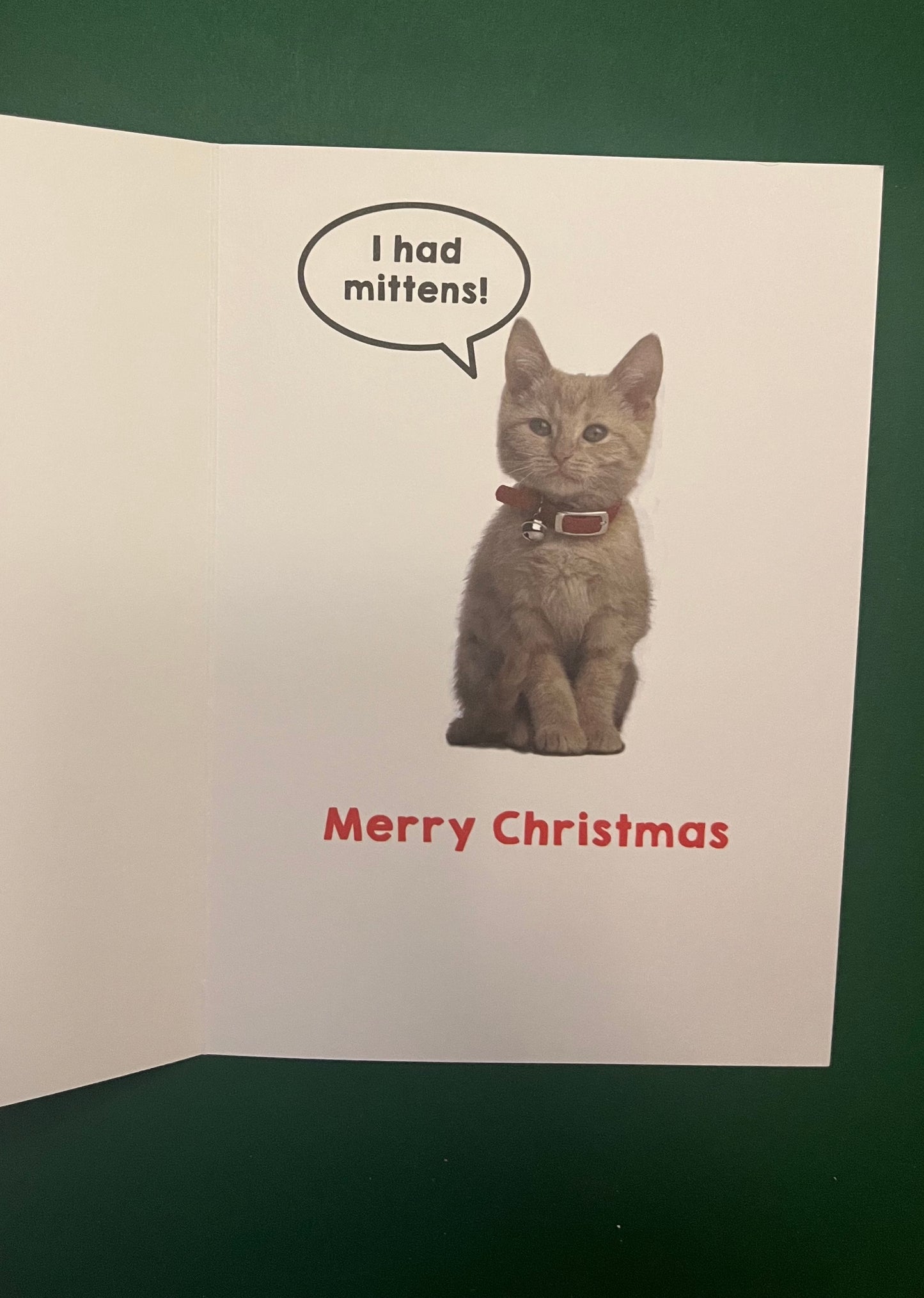 Kittens Holiday Greeting Card