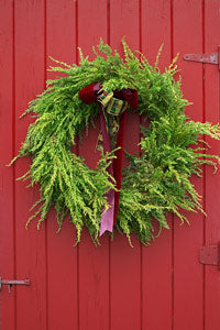 Geof Burbidge Winter Greeting Cards