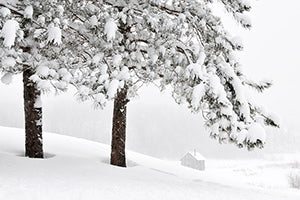 Geof Burbidge Winter Greeting Cards