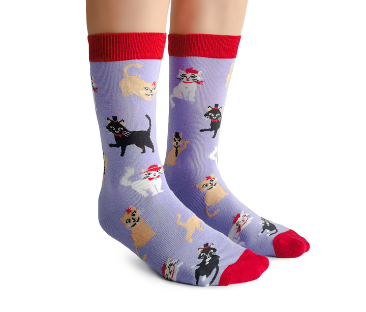 Chats dans des chapeaux Chaussettes 