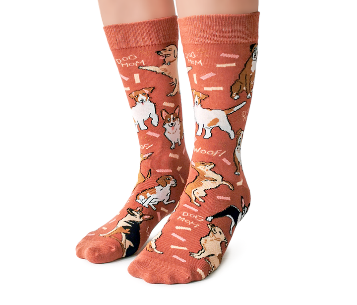 Chien Ma Chaussettes 